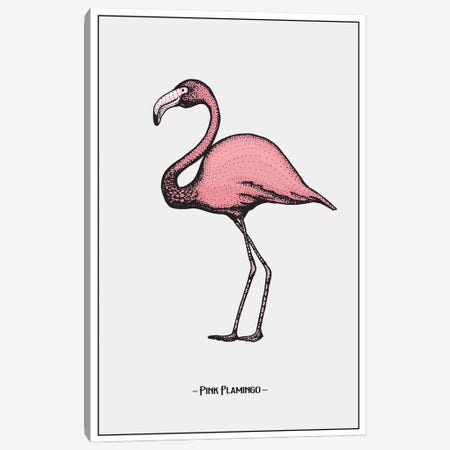 Pink Flamingo Canvas Print #STY394} by Jay Stanley Canvas Art