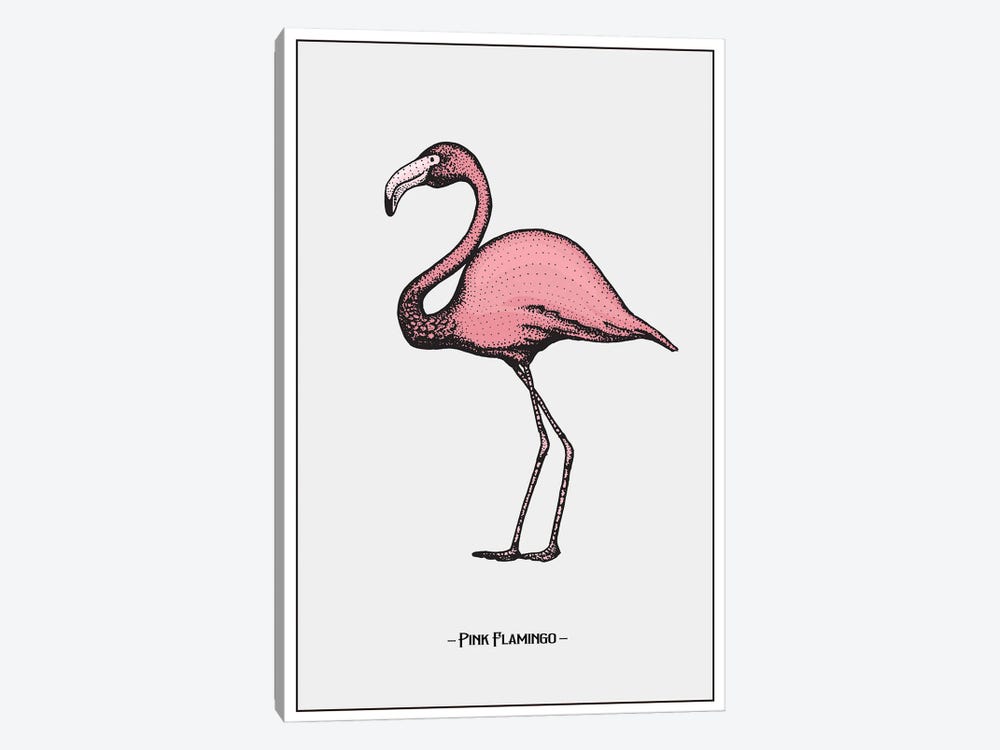 Pink Flamingo by Jay Stanley 1-piece Canvas Art Print