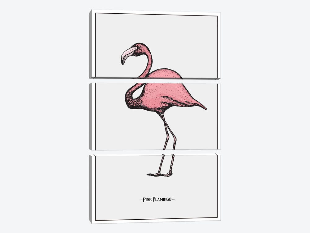 Pink Flamingo by Jay Stanley 3-piece Art Print