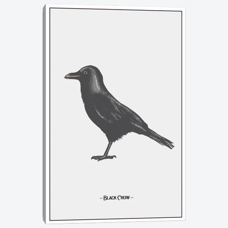 The Black Crow Canvas Print #STY417} by Jay Stanley Canvas Art Print
