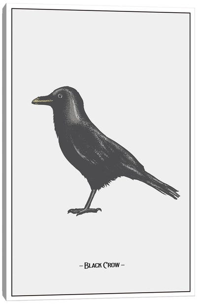 The Black Crow Canvas Art Print - Crow Art