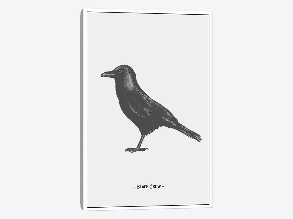 The Black Crow by Jay Stanley 1-piece Art Print