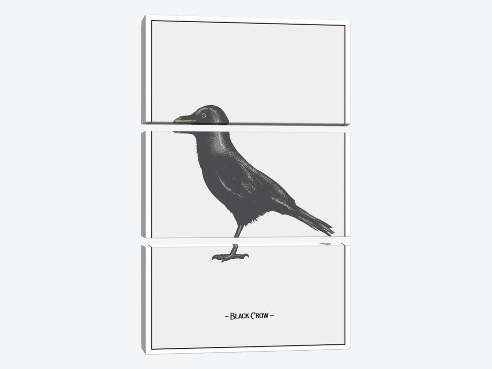 The Black Crow by Jay Stanley 3-piece Art Print