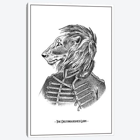 The Distinguished Lion Canvas Print #STY422} by Jay Stanley Canvas Print