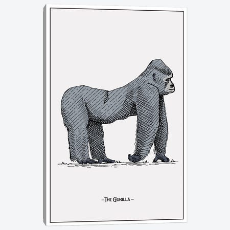 The Gorilla Canvas Print #STY428} by Jay Stanley Canvas Print