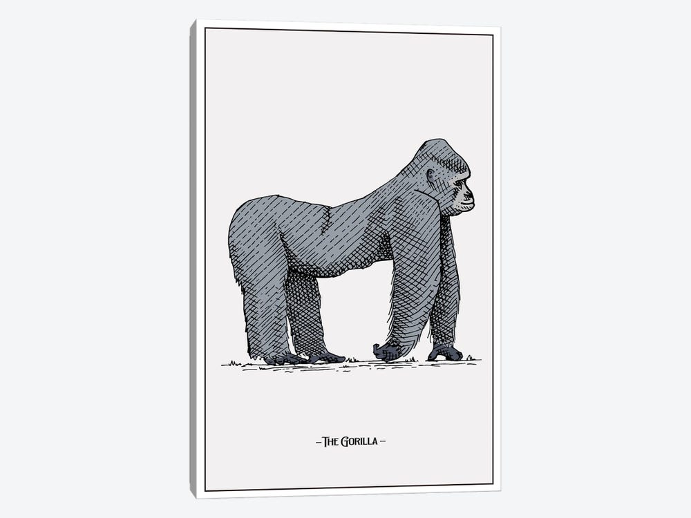 The Gorilla by Jay Stanley 1-piece Art Print