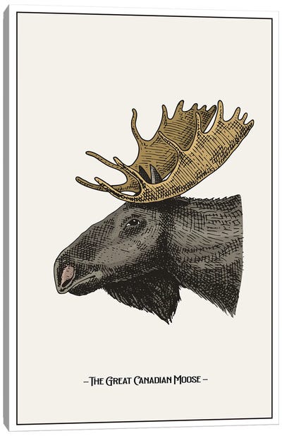 The Great Canadian Moose Canvas Art Print - Moose Art