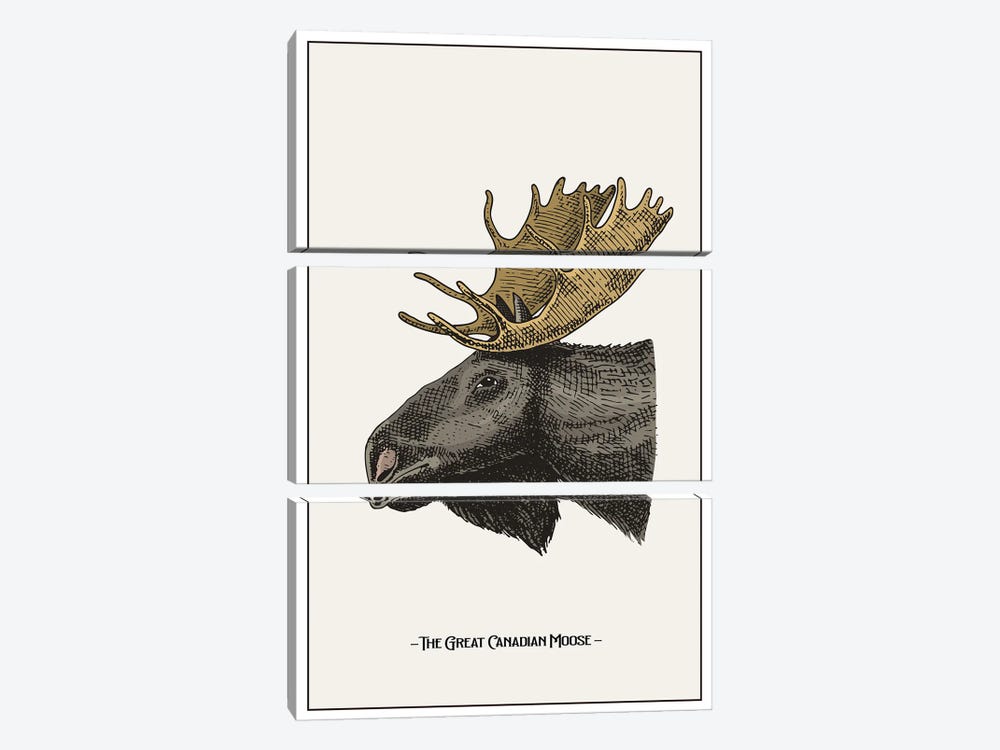 The Great Canadian Moose by Jay Stanley 3-piece Canvas Artwork