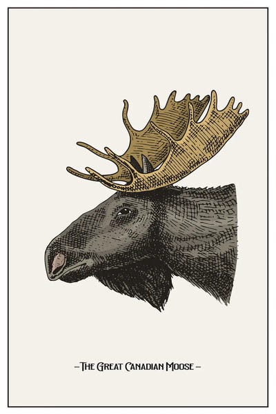 jay stanley: The Great Canadian Moose by jay stanley