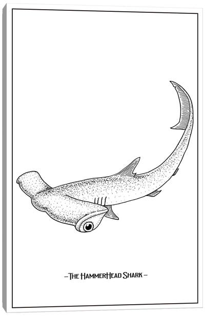 The Hammerhead Shark Canvas Art Print - Shark Art