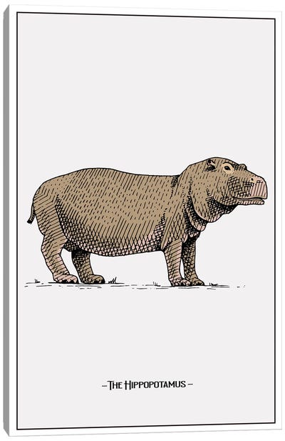 The Hippopotamus Canvas Art Print - Hippopotamus Art