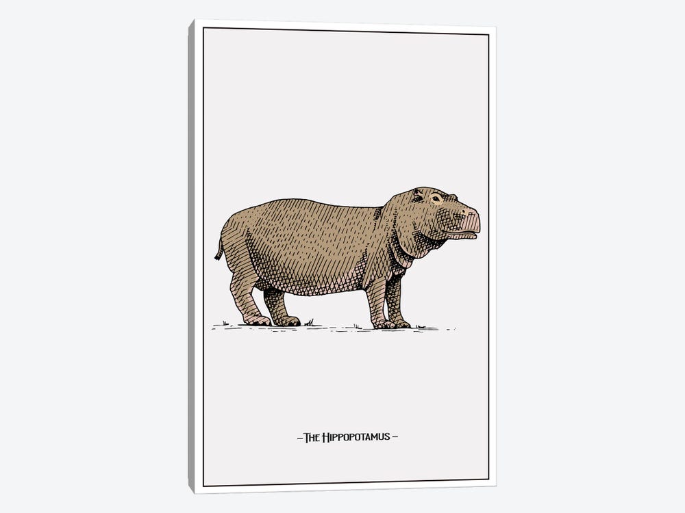 The Hippopotamus by Jay Stanley 1-piece Art Print