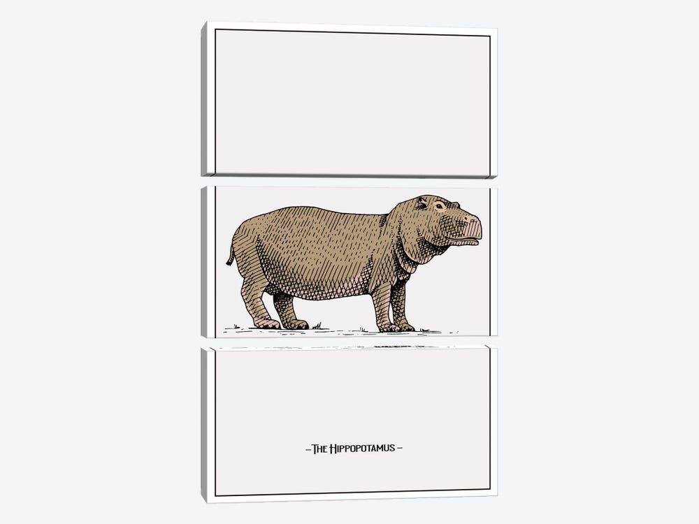 The Hippopotamus by Jay Stanley 3-piece Art Print