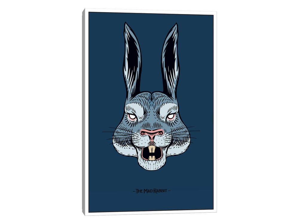 Framed Poster Prints - The Mad Rabbit by Jay Stanley ( Animals > Wildlife > Rabbits art) - 32x24x1
