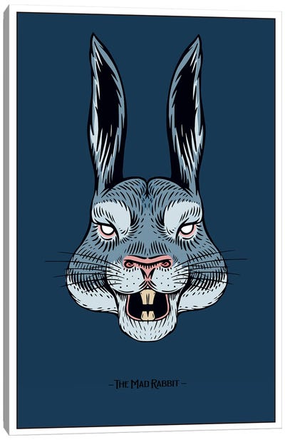The Mad Rabbit Canvas Art Print