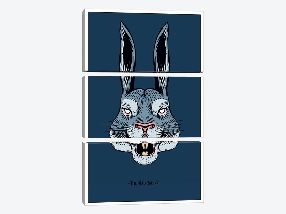 The Mad Rabbit by Jay Stanley 3-piece Canvas Art