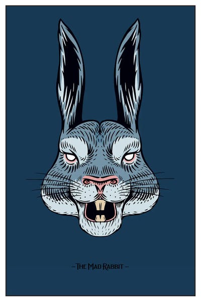 jay stanley: The Mad Rabbit by jay stanley
