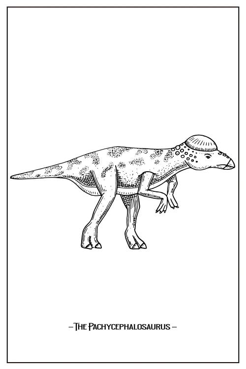 The Pachycephalosaurus