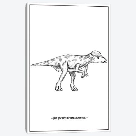 The Pachycephalosaurus Canvas Print #STY441} by Jay Stanley Art Print