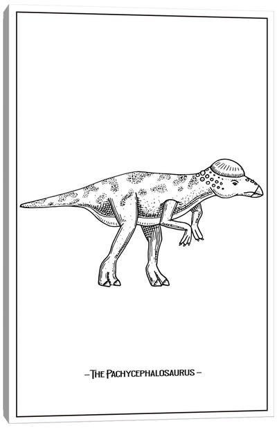 The Pachycephalosaurus Canvas Art Print - Kids Dinosaur Art