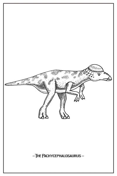 Kids Dinosaur Art: The Pachycephalosaurus by jay stanley