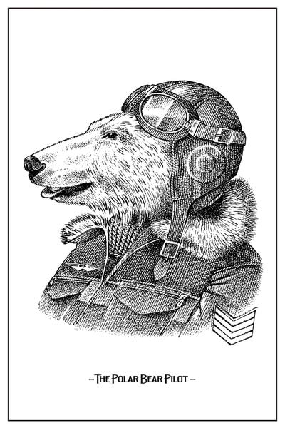 jay stanley: The Poler Bear Pilot by jay stanley