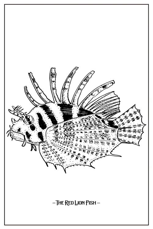 The Red Lion Fish