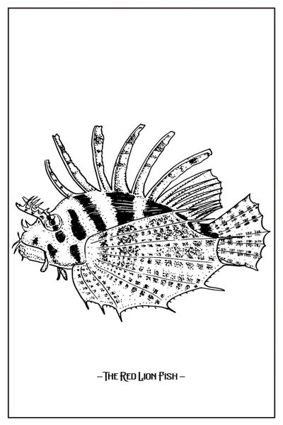 jay stanley: The Red Lion Fish by jay stanley