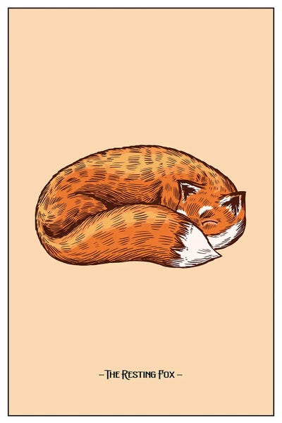 jay stanley: The Resting Fox by jay stanley