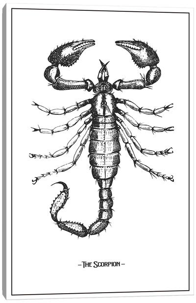 The Scorpion Canvas Art Print - Scorpions