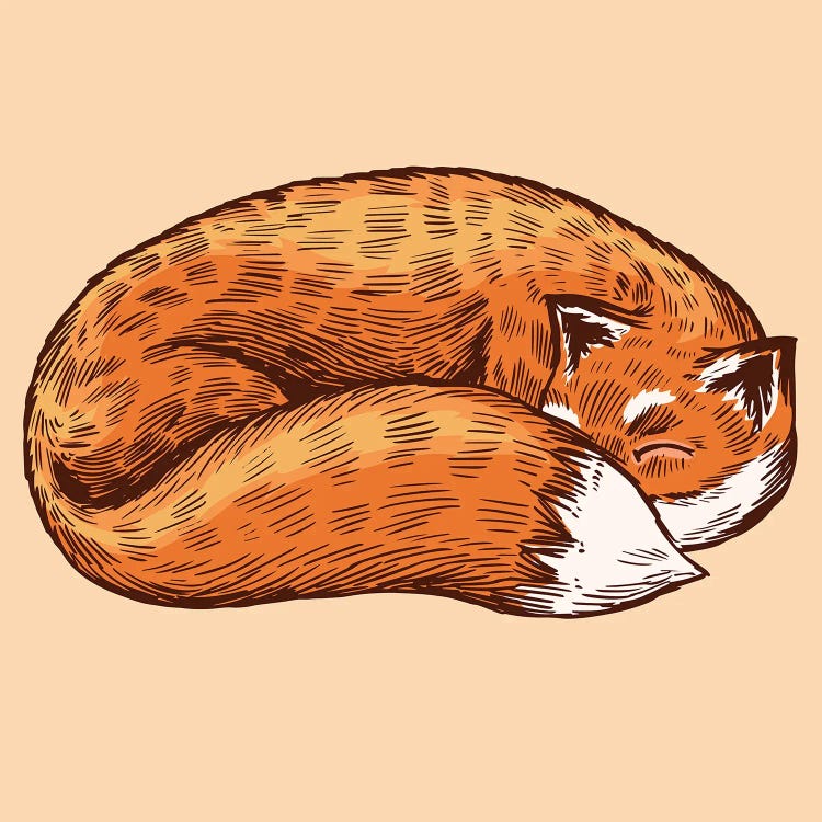 The Sleeping Fox