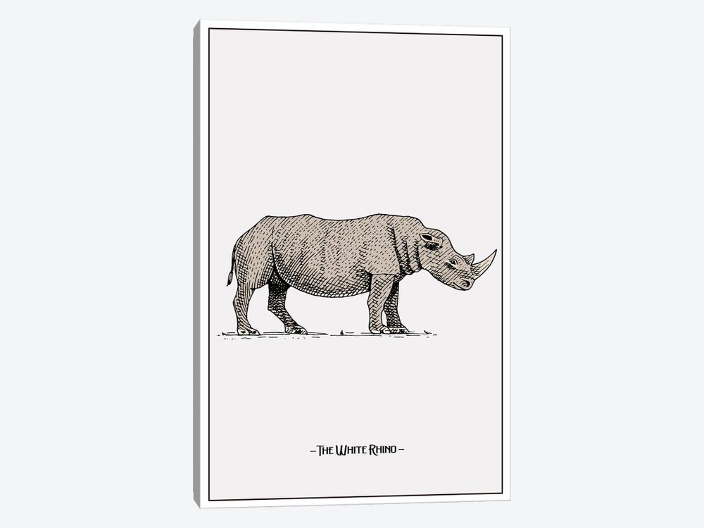 The White Rhino by Jay Stanley 1-piece Canvas Art Print