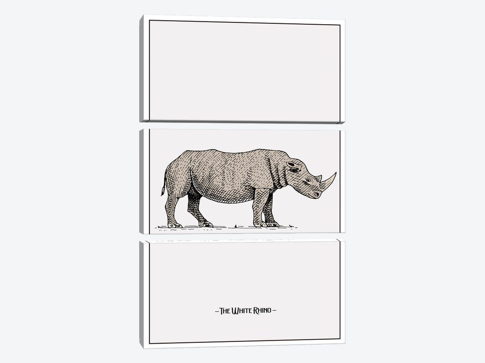 The White Rhino by Jay Stanley 3-piece Canvas Art Print