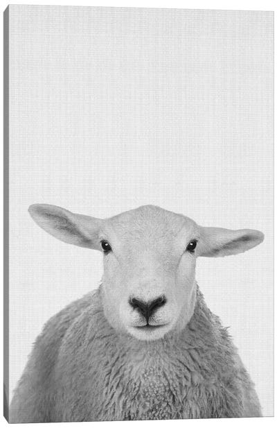 Trust This Wise Sheep Canvas Art Print - Jay Stanley