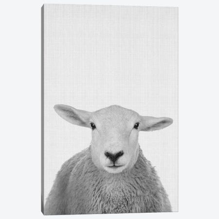 Trust This Wise Sheep Canvas Print #STY471} by Jay Stanley Canvas Art