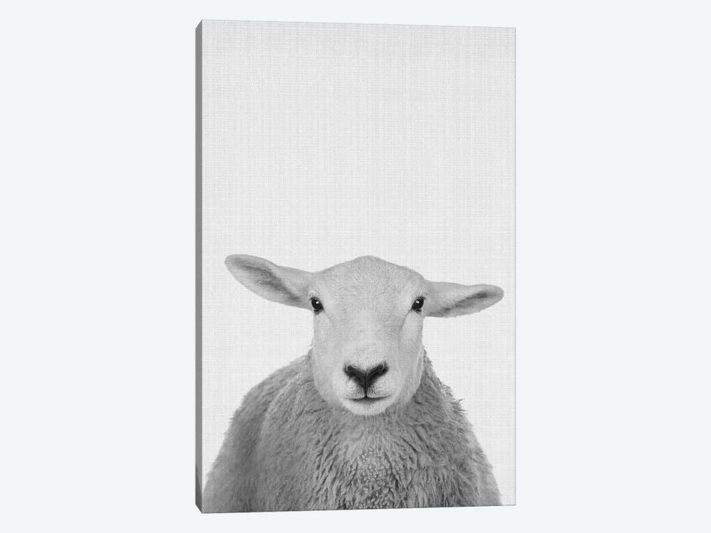 Trust This Wise Sheep by Jay Stanley 1-piece Art Print