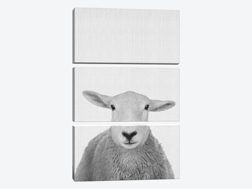 Trust This Wise Sheep by Jay Stanley 3-piece Art Print