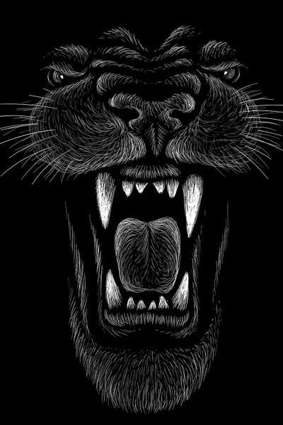 Panthers: Up Close And Personal by jay stanley