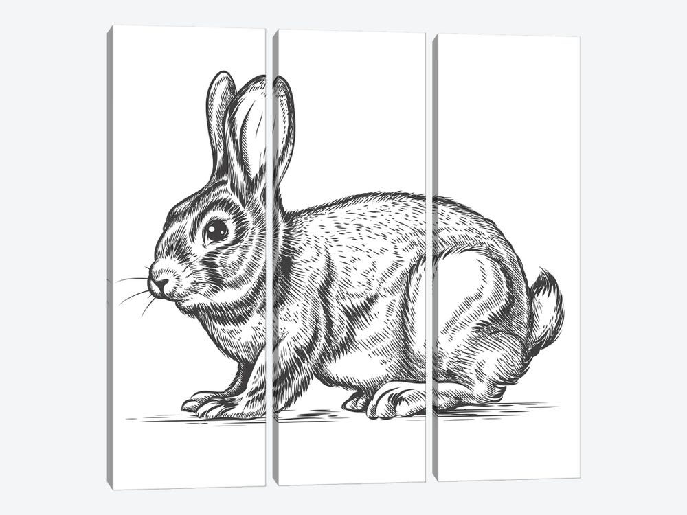Watch Out For The Bunny by Jay Stanley 3-piece Canvas Wall Art