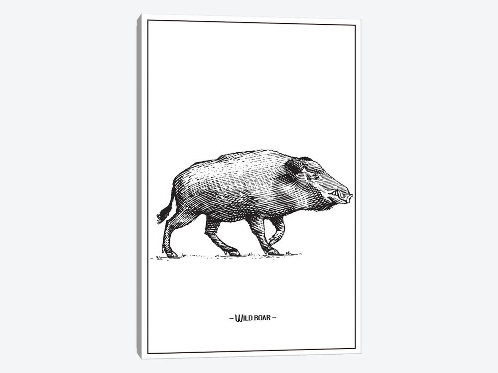 Wild Boar by Jay Stanley 1-piece Art Print