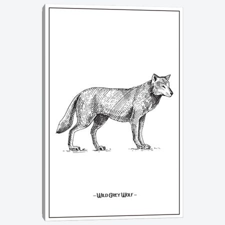 Wild Grey Wolf Canvas Print #STY483} by Jay Stanley Art Print