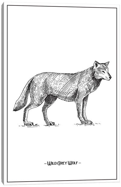 Wild Grey Wolf Canvas Art Print - Animal Illustrations