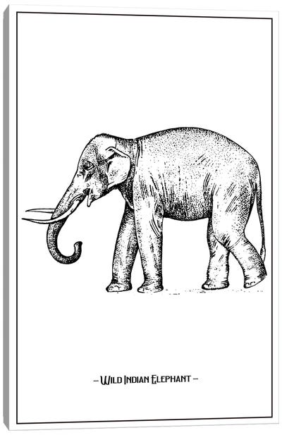 Wild Indian Elephant Canvas Art Print - Jay Stanley