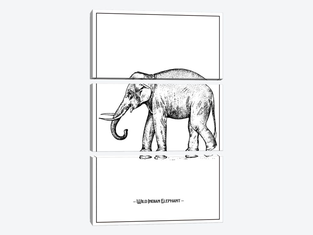 Wild Indian Elephant by Jay Stanley 3-piece Art Print