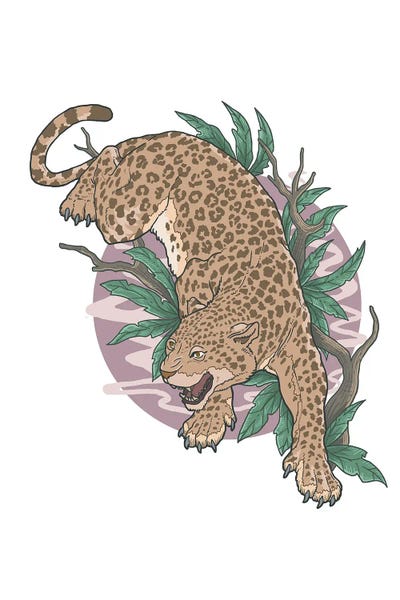 jay stanley: Wild Leopard by jay stanley