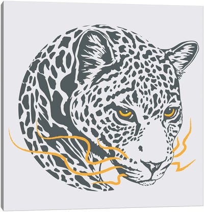 Wise Leopard Canvas Art Print - Jay Stanley