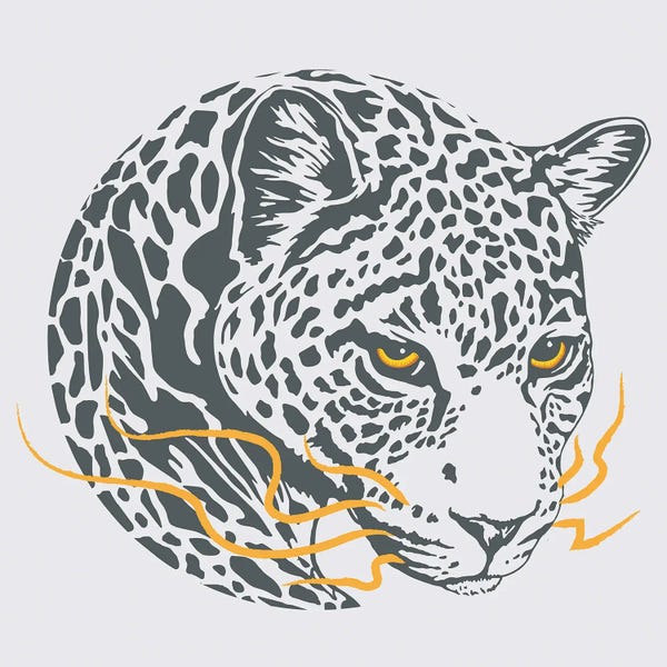jay stanley: Wise Leopard by jay stanley