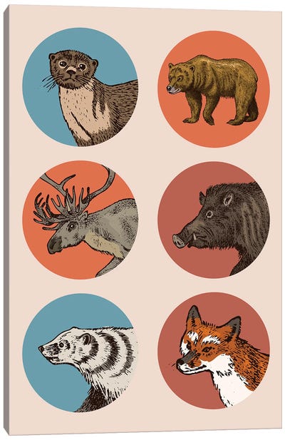 Animal Circles II Canvas Art Print - Grizzly Bear Art