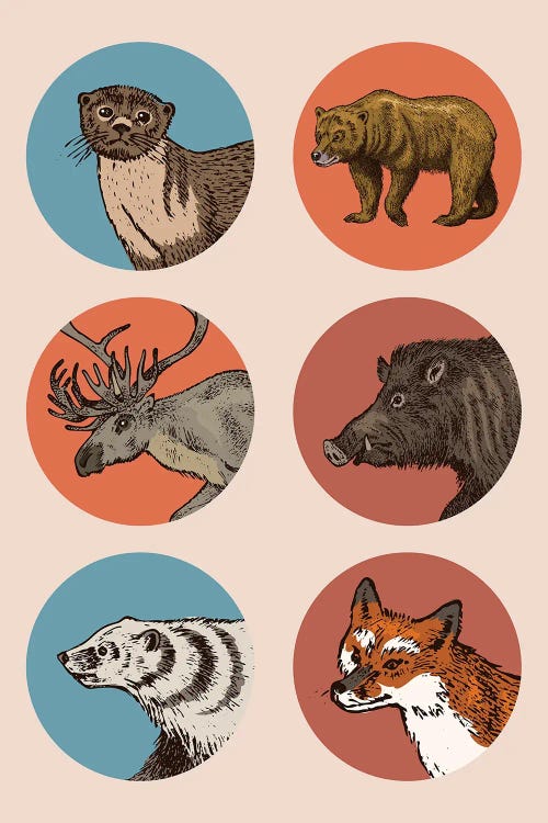 Animal Circles II