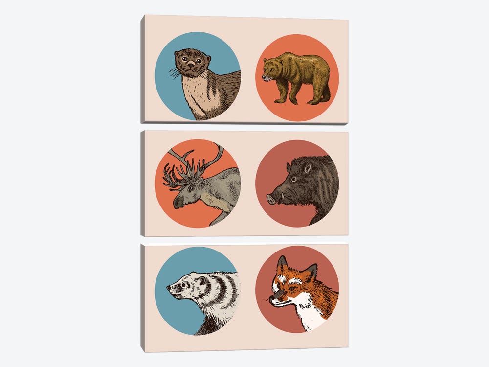Animal Circles II by Jay Stanley 3-piece Canvas Art Print